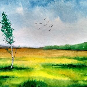 Introduction to Watercolour Painting Course